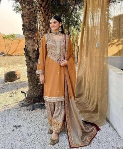 woman clothing, ethenic wear, traditional wear, indian wear